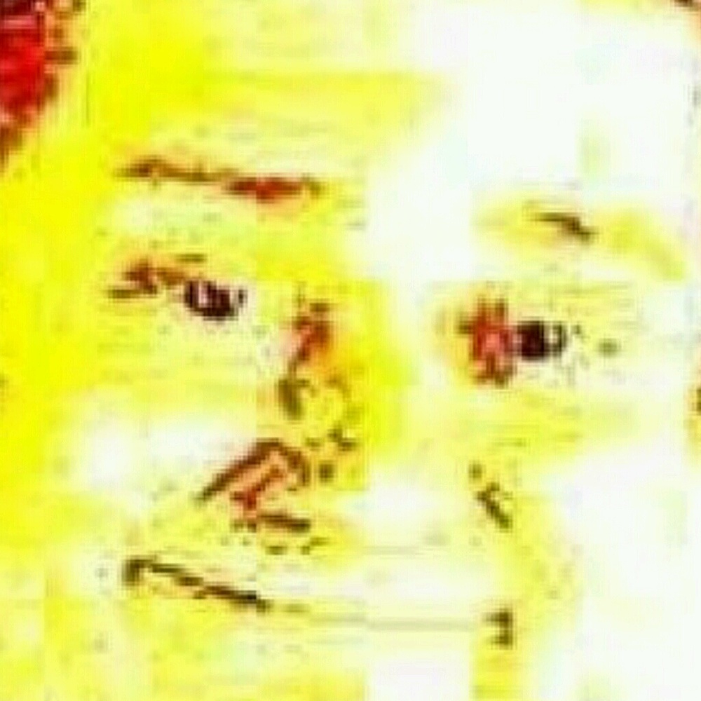 Meet your Posher, Nour